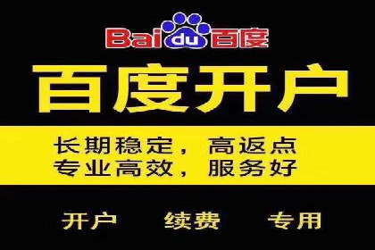 竞价广告的投放策略与网络推广的实践案例