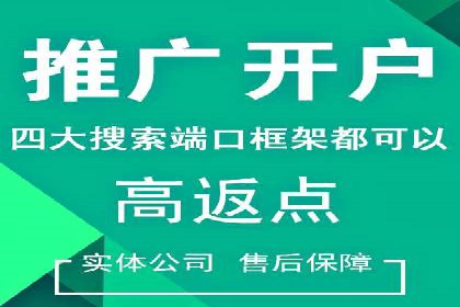 某行业巨头背后的SEM代运营托管公司